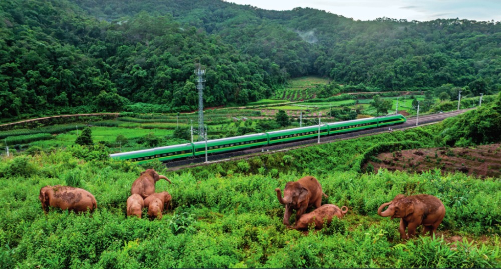 瞭望·治国理政纪事丨加快建设我国面向南亚东南亚辐射中心