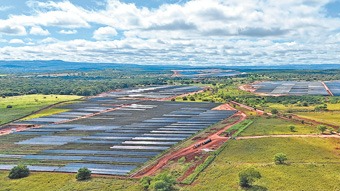 共建“一带一路”·第一现场丨中企在巴西内陆“播种”光伏