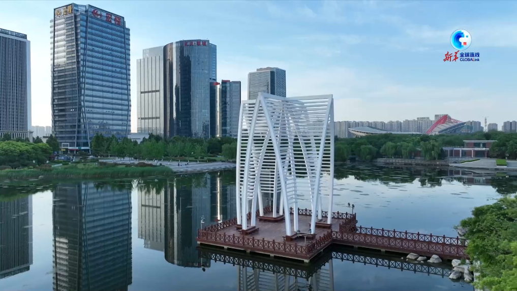 全球连线｜山东：民营企业向“新”而行 跑出出海“加速度”