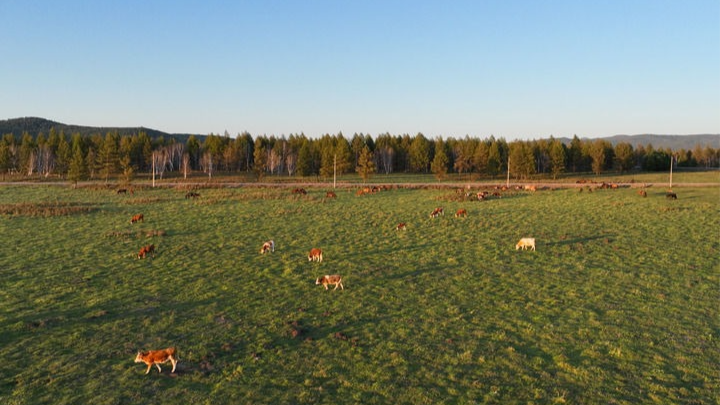 北疆大地凭什么快速发展——内蒙古在办好两件大事中扎实推进高质量发展