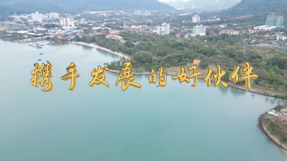 微视频丨携手发展的好伙伴