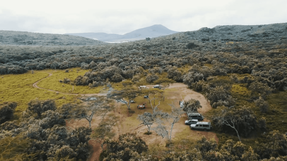 肯尼亚：多样化旅游资源持续吸引中国游客