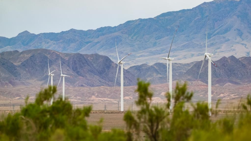 特稿丨绿色新风拂丝路——中国中亚书写绿色发展新篇章