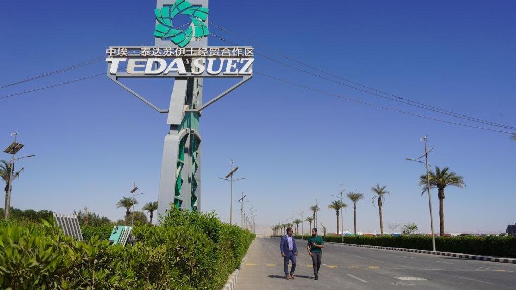 记者手记｜合作共赢的绿洲在埃及生机盎然