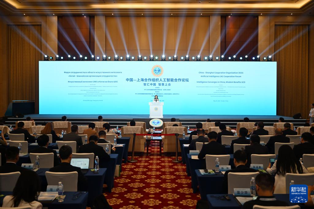 中国—上海合作组织人工智能合作论坛在津举行