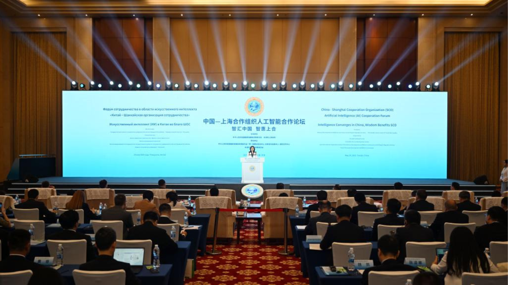 中国—上海合作组织人工智能合作论坛在津举行