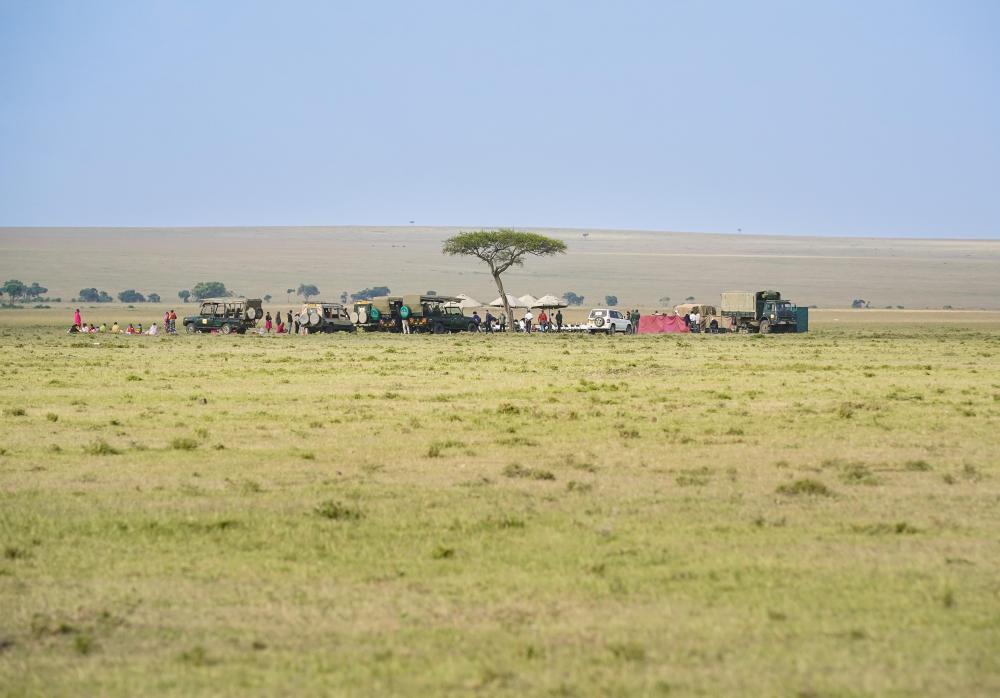 游览肯尼亚马赛马拉国家保护区