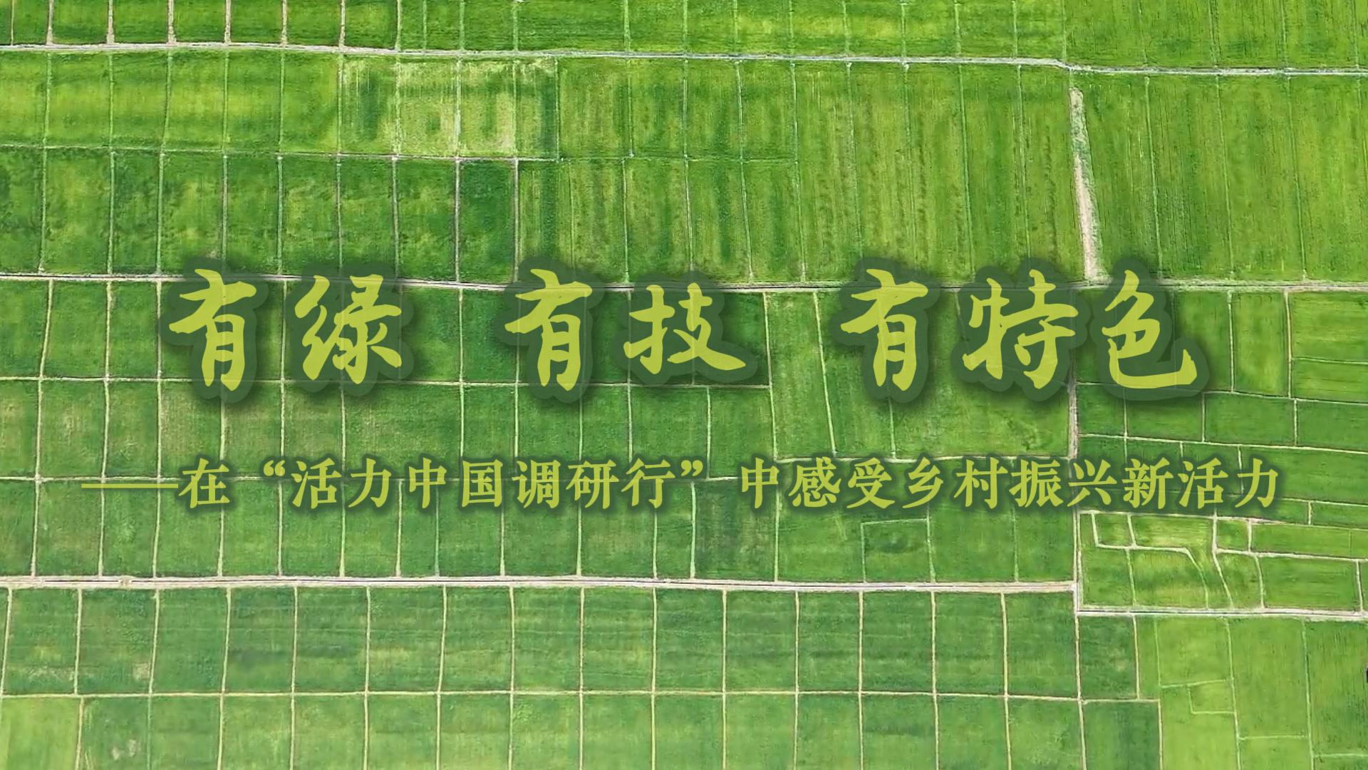 有绿、有技、有特色——在“活力中国调研行”中感受乡村振兴新活力