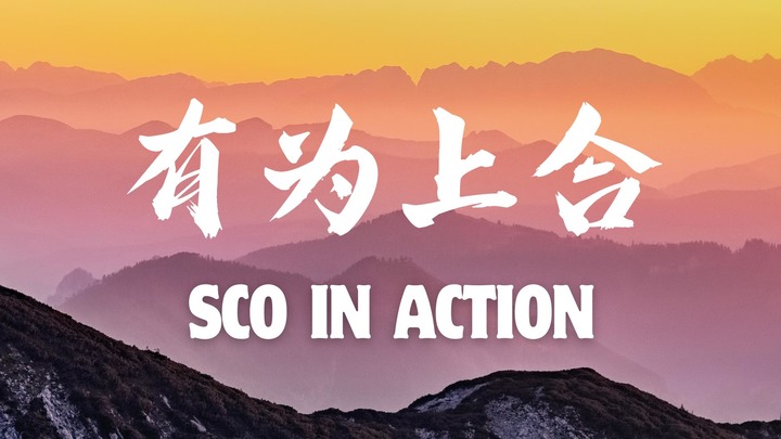 有为上合 SCO in Action