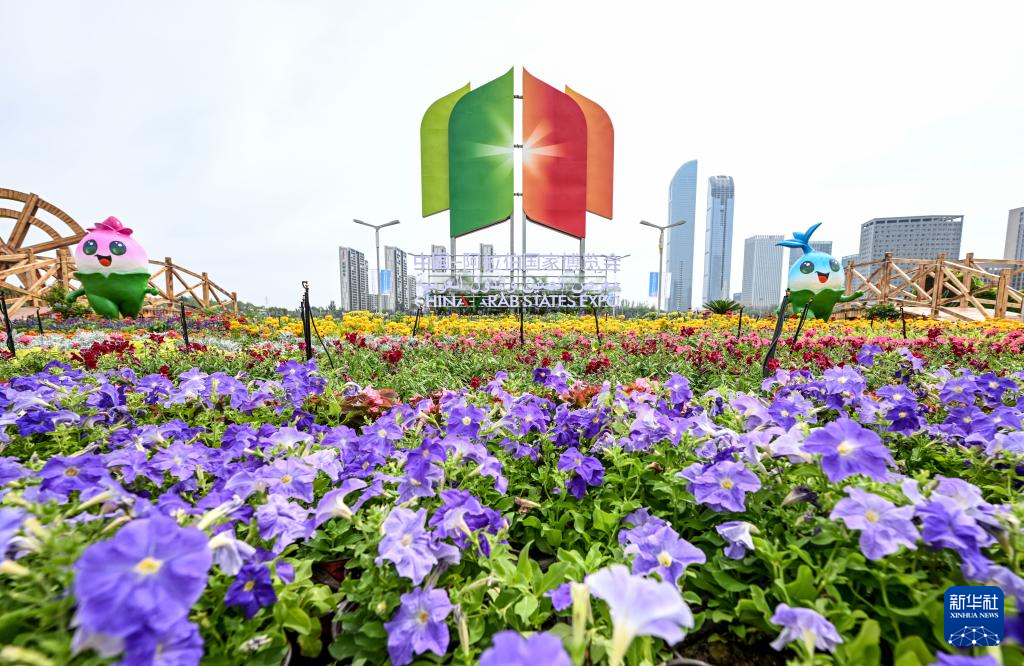 第七届中国—阿拉伯国家博览会开幕