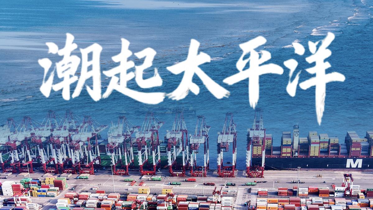 微视频｜潮起太平洋