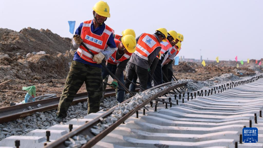 从“一条线”到“一张网”——西部陆海新通道建设8年回眸