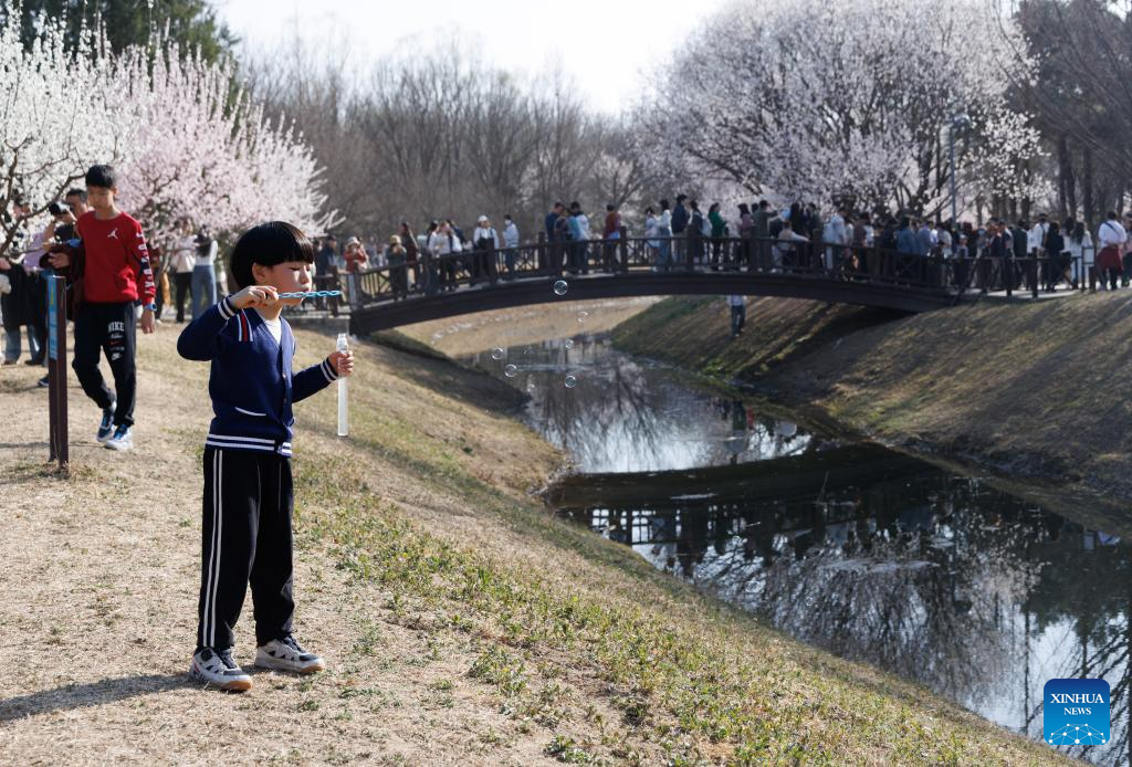 9c4536cf4826417992837a059d7fadc9.PNG