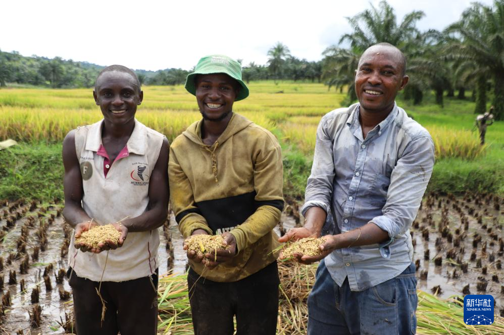 中国专家助力布隆迪水稻增产