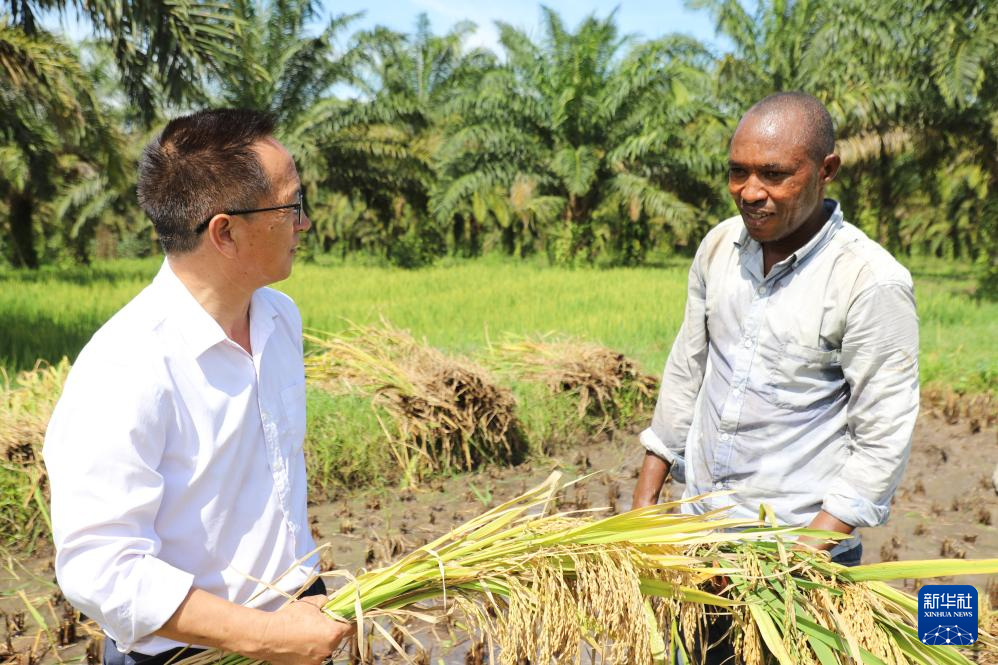 中国专家助力布隆迪水稻增产