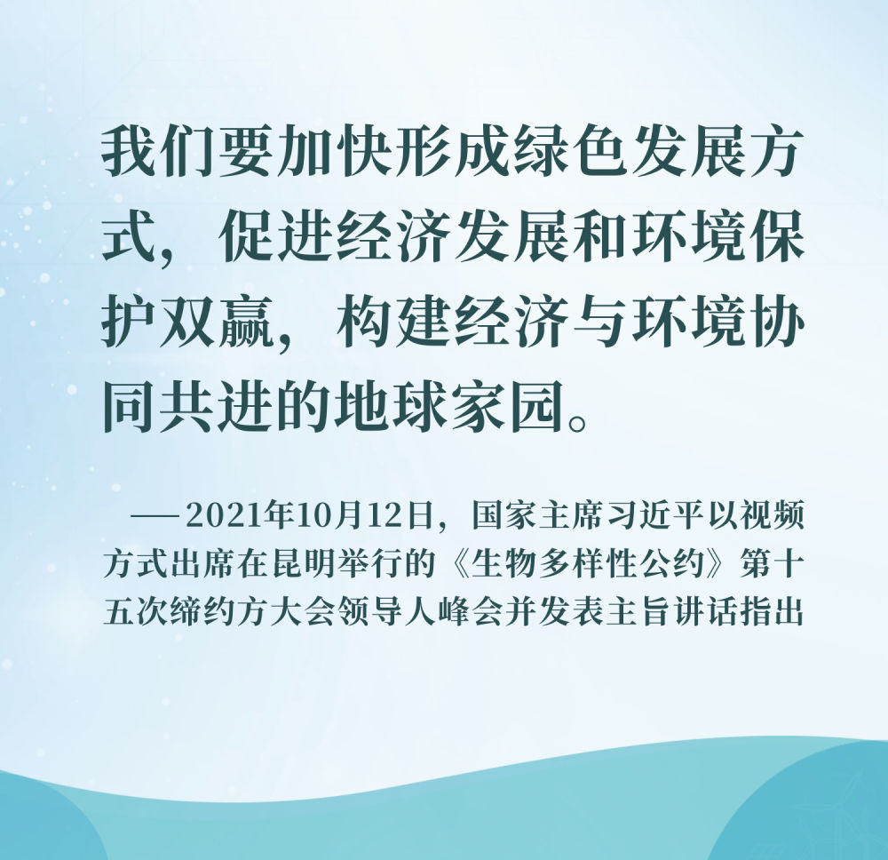 8c77575348ad49acb9ec4811ce933ad3.JPEG