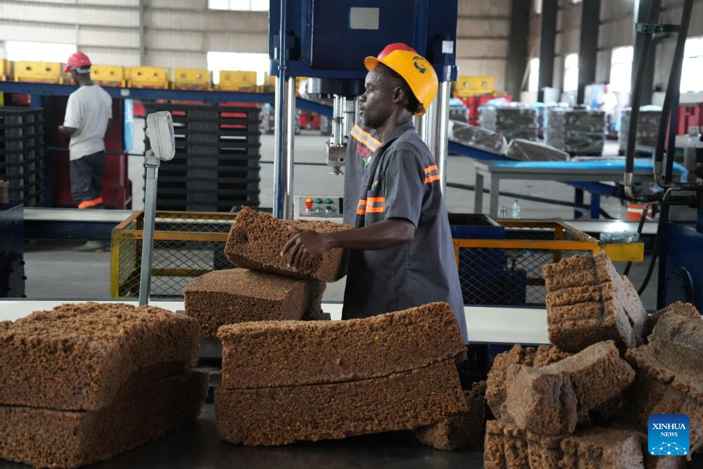Feature: China's zero-tariff policy opens new opportunities for Cote d'Ivoire's rubber sector