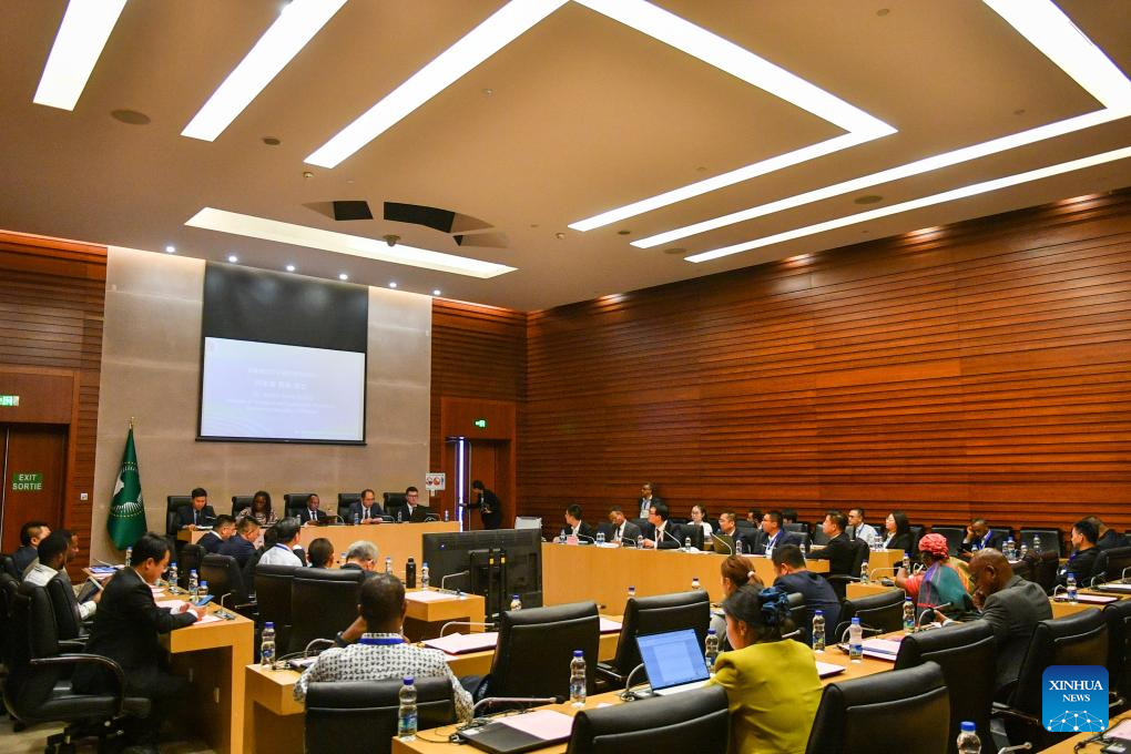 Chinese, African experts call for deepening collaboration in infrastructure development