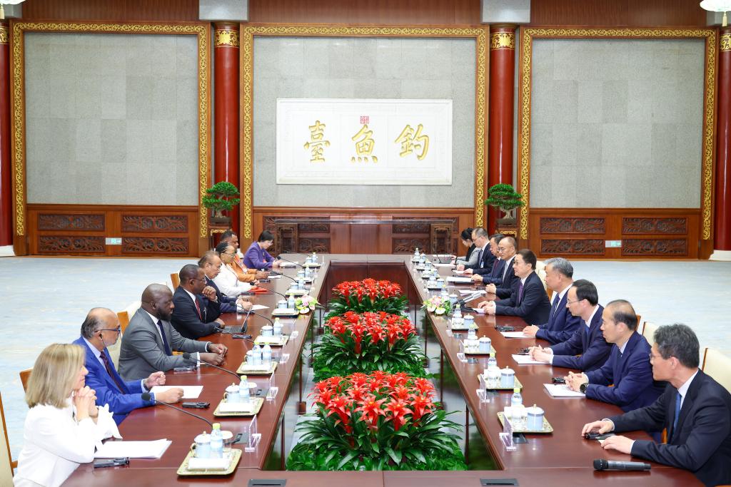 China willing to advance global community of shared development with all parties: vice president