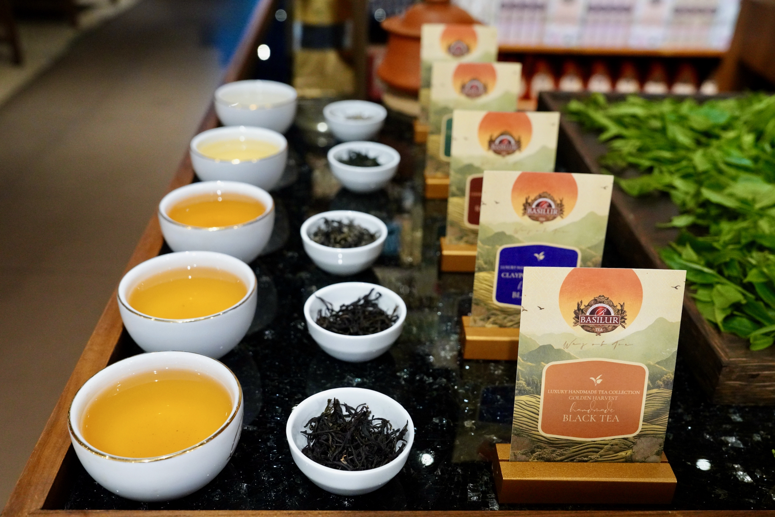 魅力亚太丨斯里兰卡：茶香越山海 古园启新章