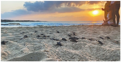 e288cdae8df641c291d25cc85b37195f.JPEG