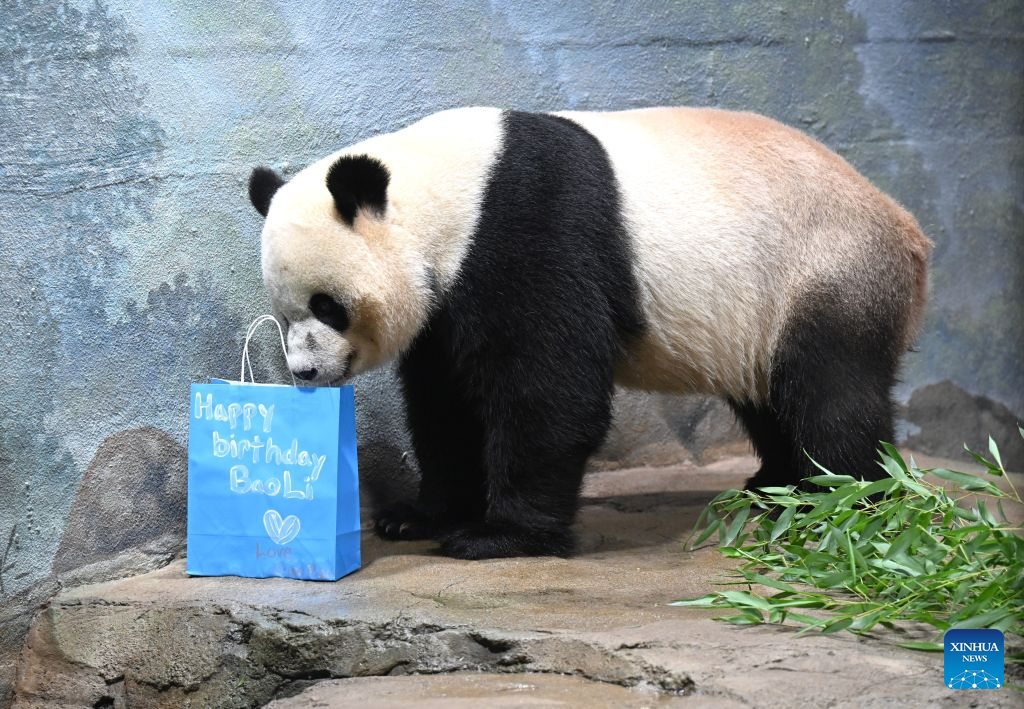 753791e97d4f4a1f9f4fa116faac3067.PNG