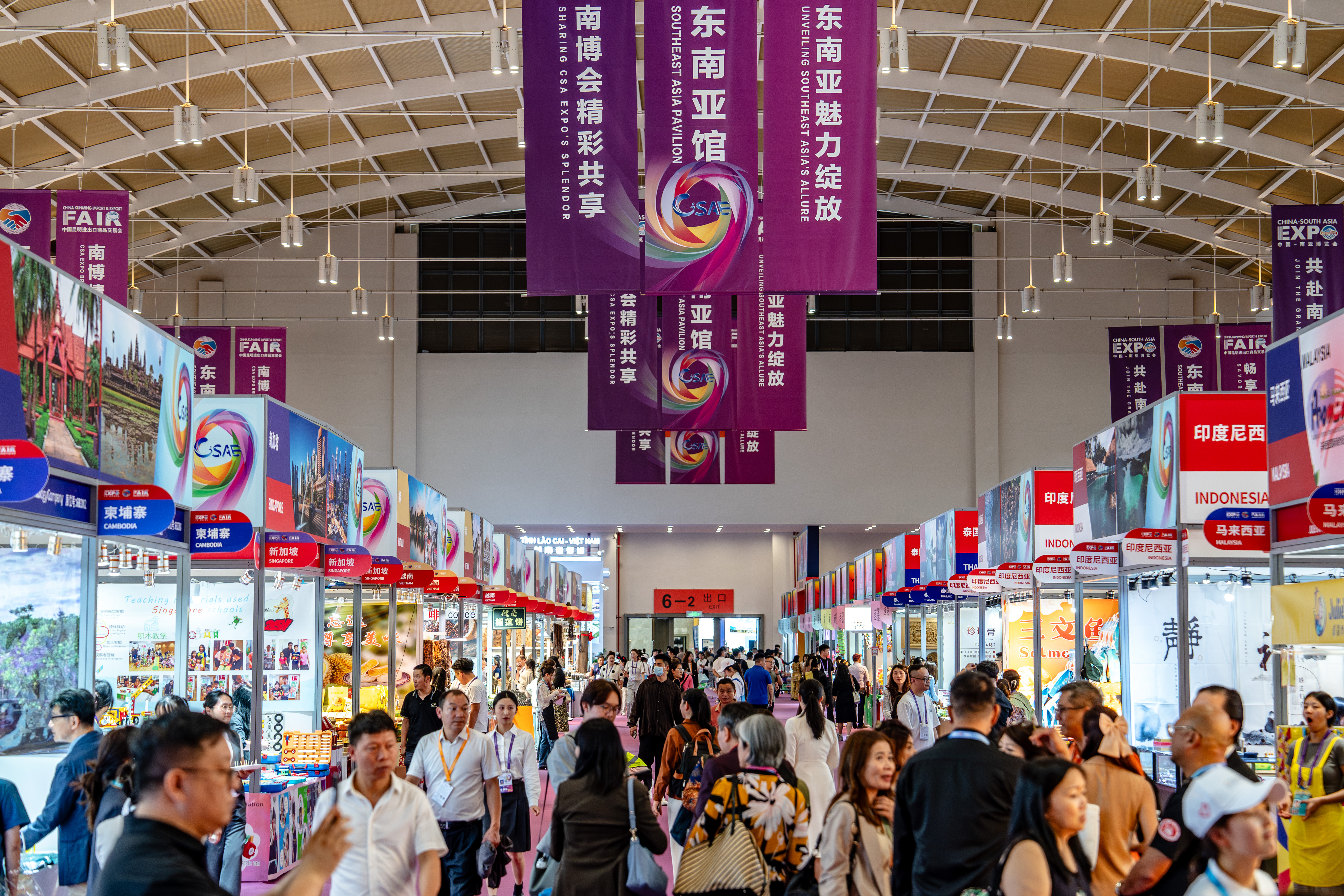 新华全媒+丨第9届中国—南亚博览会开幕