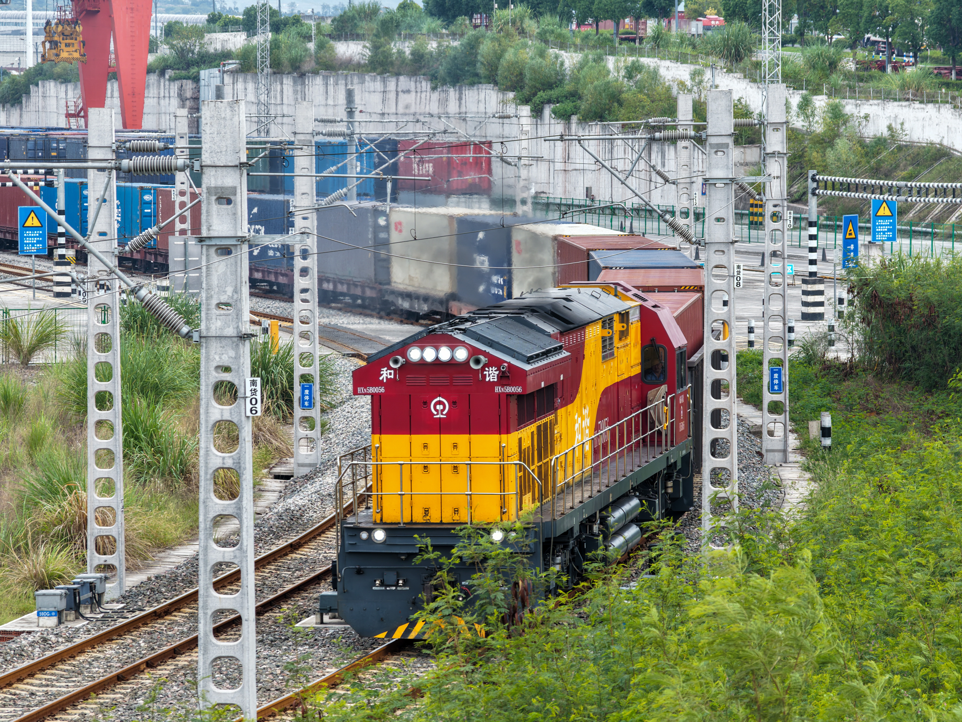 今年前8个月重庆经西部陆海新通道运输货物超20万标箱