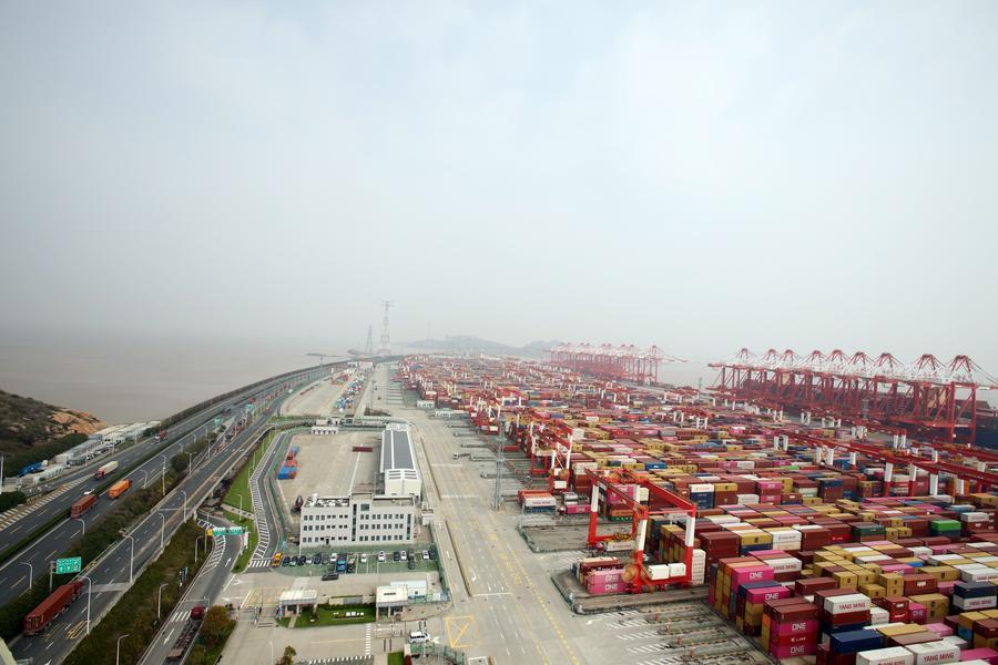 EconomyInFocus | Exploring Shanghai Yangshan Deep Water Port's phase IV automated terminal