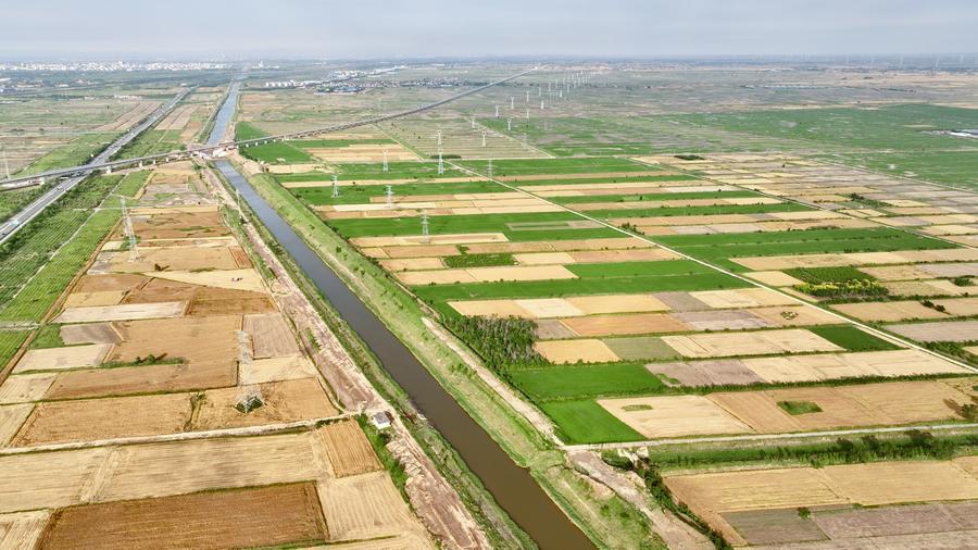 488718361095254017.jpg