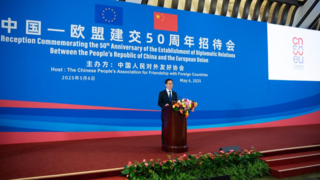 China-EU ties have more significant global influence in turbulent world ...