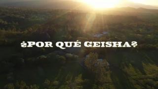(Video) Diálogo transpacífico | ¿Por Qué Geisha?