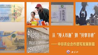从“授人以渔”到“共享丰收”——中非农业合作谱写发展新篇