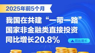 前5个月我国在共建“一带一路”国家非金融类直接投资同比增长20.8%