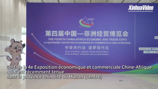Le livestreaming crée des possibilités commerciales entre la Chine et l'Afrique