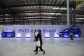 Base de producción de la fabricante chino de vehículos BYD en Bahía, Brasil