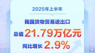 新华社权威快报丨增长2.9% 2025年中国外贸半年报出炉