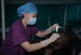 Travail de la 35e équipe médicale chinoise en Mauritanie