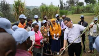Rwanda : la technologie Juncao