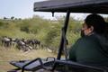 游览肯尼亚马赛马拉国家保护区