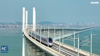 فيديو: مسؤول مصري: مبادرة الحوكمة العالمية تهدف إلى تضييق الفجوة التنموية بين الشمال والجنوب