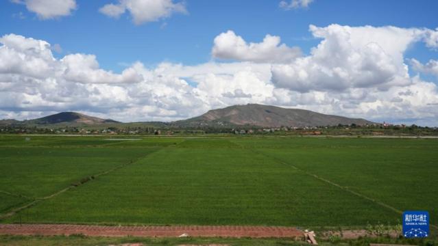 通讯丨播撒希望的种子——“非洲母亲新农场”托起马达加斯加妇女与家庭新未来