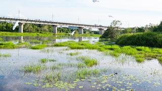 一带一路故事绘丨马东铁：一条与自然共生的“绿色脊梁”