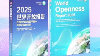 (Video) China publica el último Índice Mundial de Apertura, destacando el papel de las fuerzas emergentes
