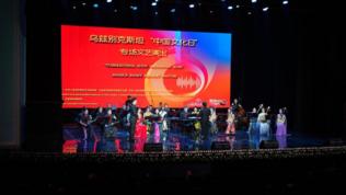 Альбом: В Ташкенте прошел концерт в рамках "Дня культуры Китая"