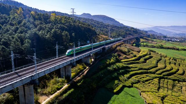 中老鐵路開通運(yùn)營四年 黃金大通道效應(yīng)持續(xù)放大