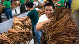 Especial: Industria del tabaco de Honduras ve en China mercado ...