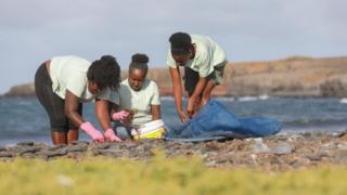 海藻变肥料：佛得角妇女的农业新实践