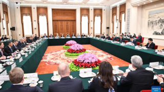 Chinese vice premier welcomes German enterprises to continue investing ...