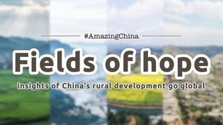 AmazingChina# | حقول الأمل: أفكار حول التنمية الريفية في الصين تنتشر عالمياً